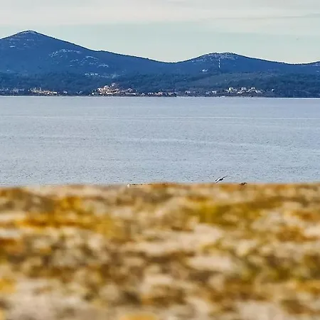 Daire Sea Organ Paradise